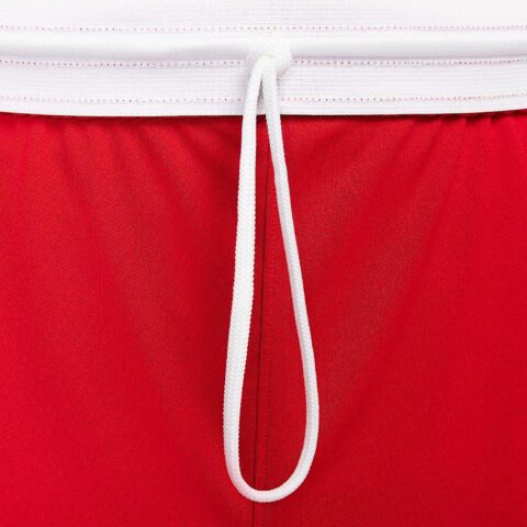 Nike Dri Fit Sports Shorts Men’s University Red