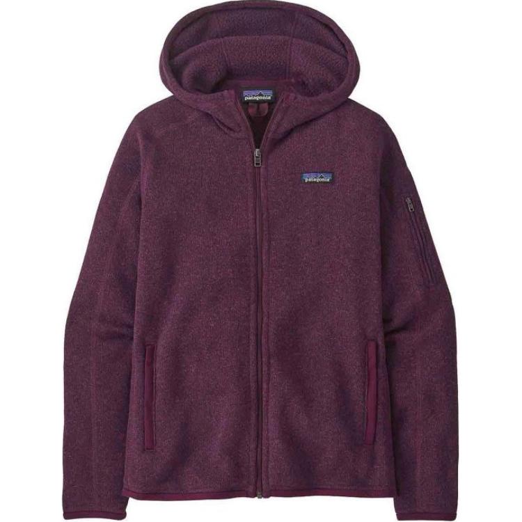 Patagonia Logo patch Hoodie